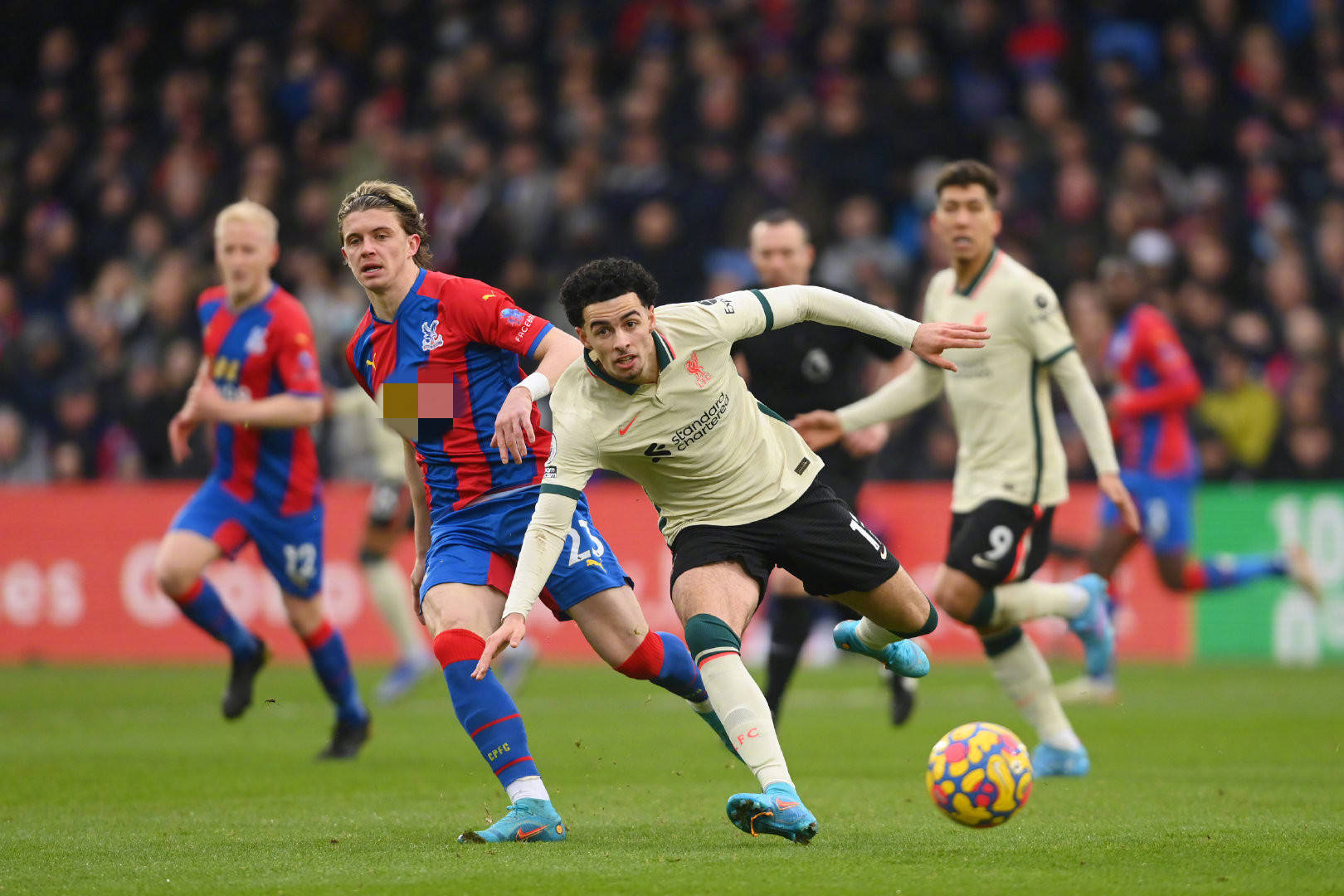 令诸多网坛 令诸多网坛