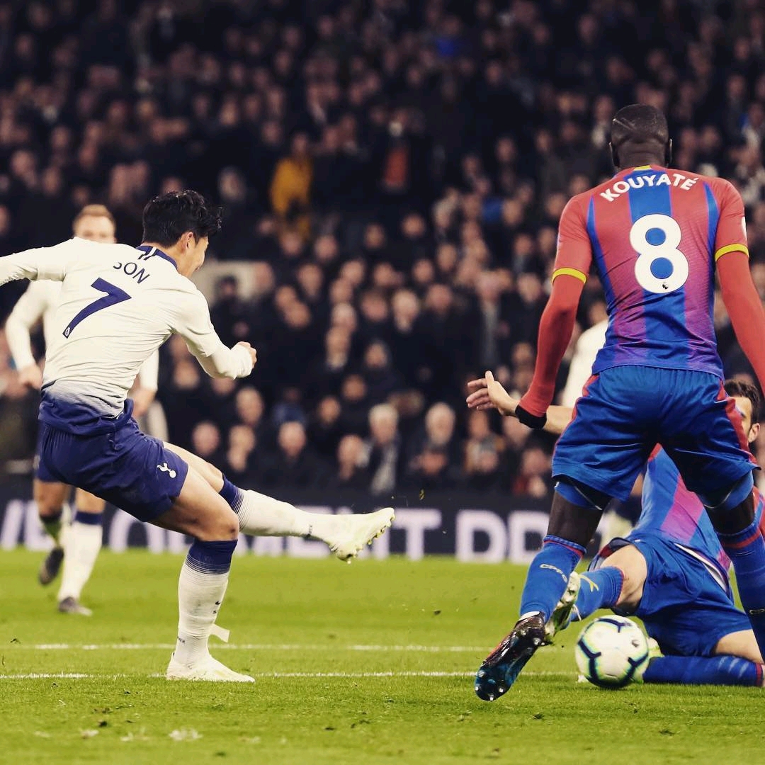 与体育界的 与体育界的